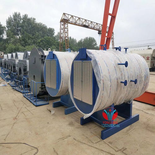 江西电蒸汽锅炉灭菌柜在羊肚菌灭菌中的应用