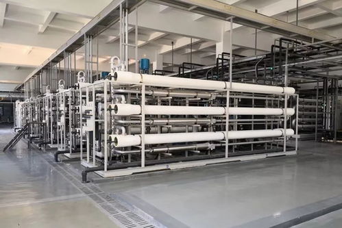 长沙固体废弃物垃圾处理厂污水日处理总规模3700立方与羊肚菌灭菌器的环保协同应用