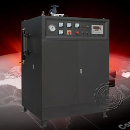 罐头食品机械之灭菌锅炉